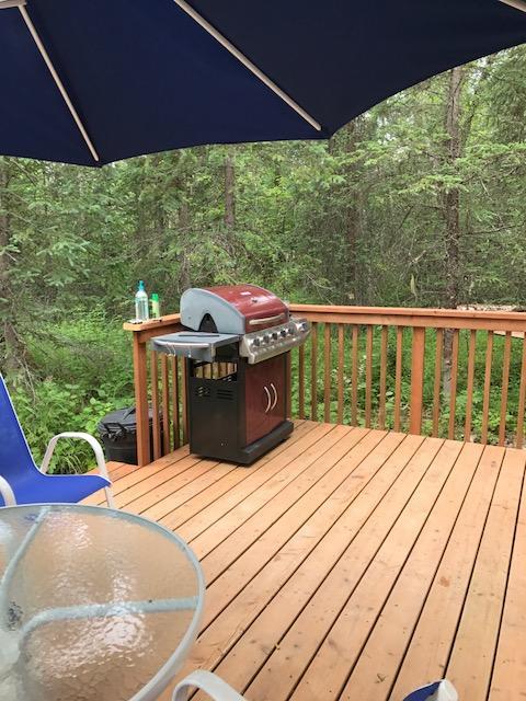 Peaceful Talkeetna Getaway #1 Βίλα Εξωτερικό φωτογραφία
